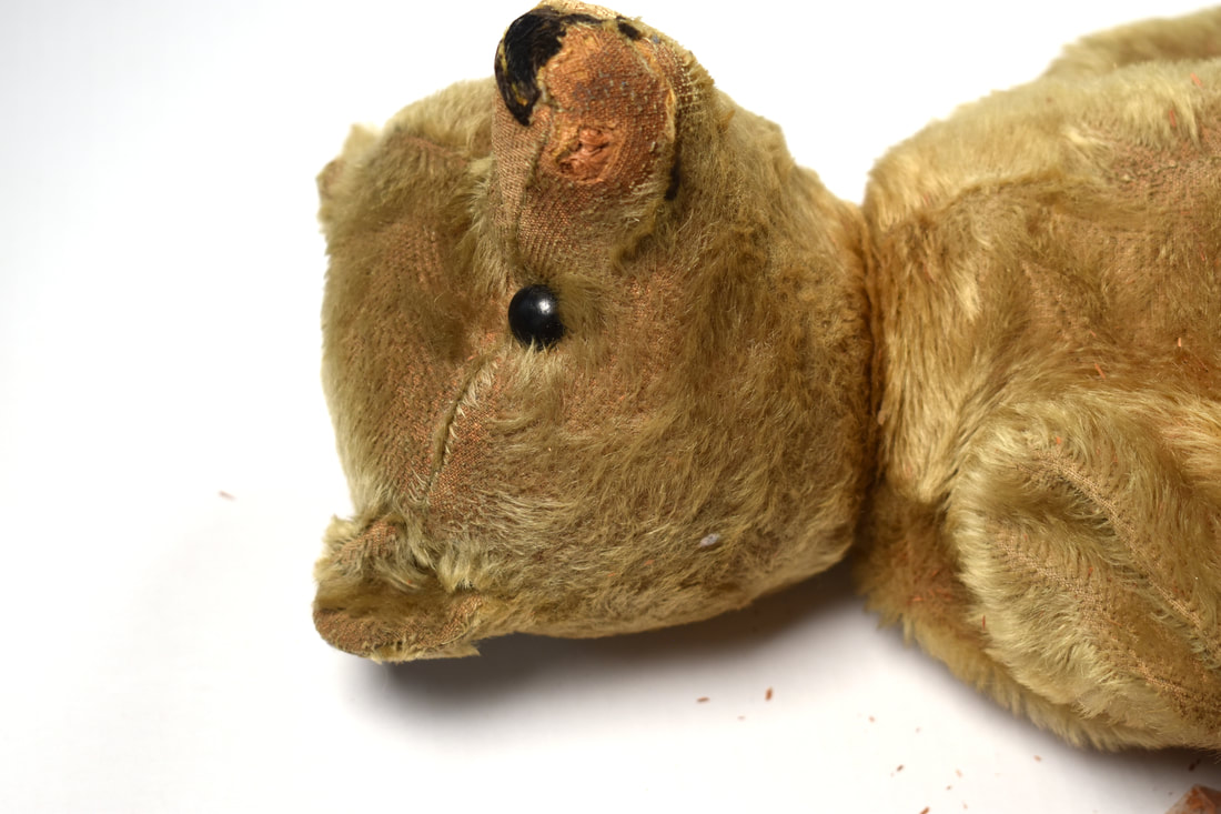 History and Identification of a Steiff Teddy Bear - Museum Textile 